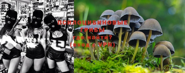 молекула духа Абаза