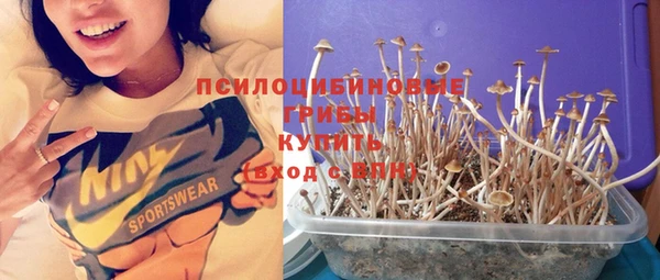 трава Абинск