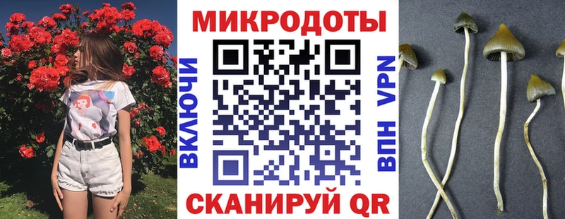 mega вход  Емва  Псилоцибиновые грибы Magic Shrooms  купить  